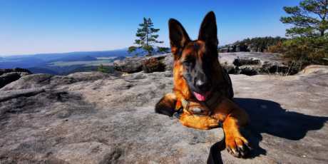 Erhabene Momente: Auf den Gipfeln der Berge
