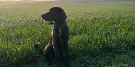 Oskar, der Strahlemann: Abenteuer auf dem Feldweg